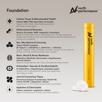 NORTH Performance Foundation supplement product benefits: Cellular Power & Mitochondrial Health, Performance & Recovery, Gut, Microbiome & Immunity, Brain, Mood & Stress Resilience, Antioxidant, Vascular & Cardiometabolic, Joint & Connective Tissue, Hydration & Electrolytes